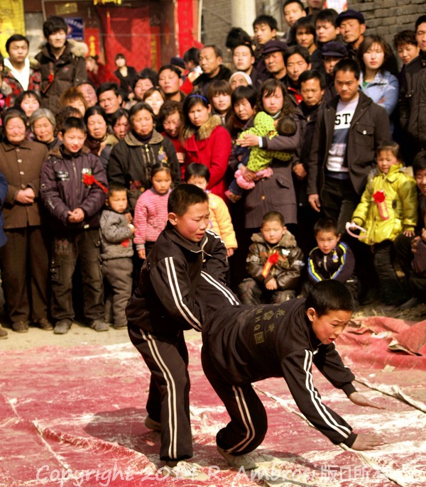 Raymond Ambrosi, meihuaquan, meihuazhuang, folk martial arts, civil society, social cohesion