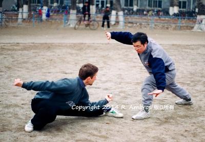 Shandong-Univ-004-Training-Feb-2004-FnoNeg_CROP_400pixels