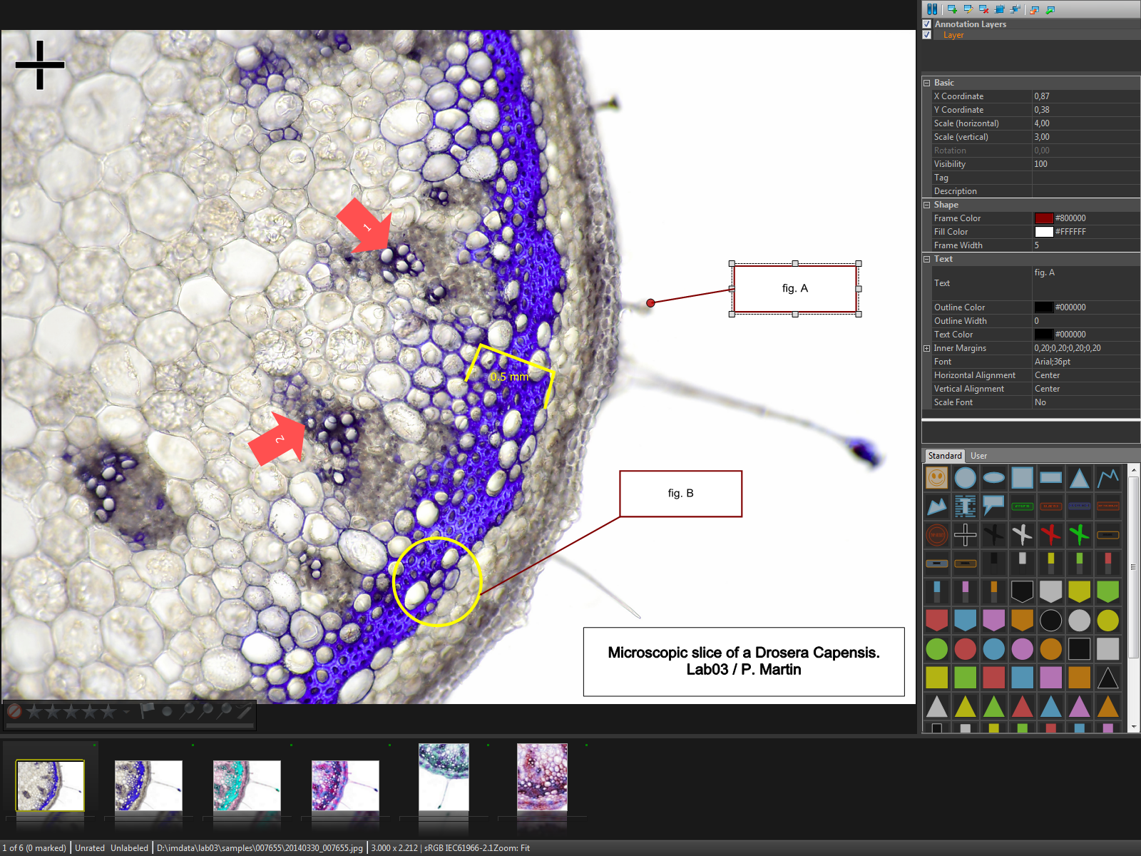 Photo annotation feature in Imatch 5. metadata