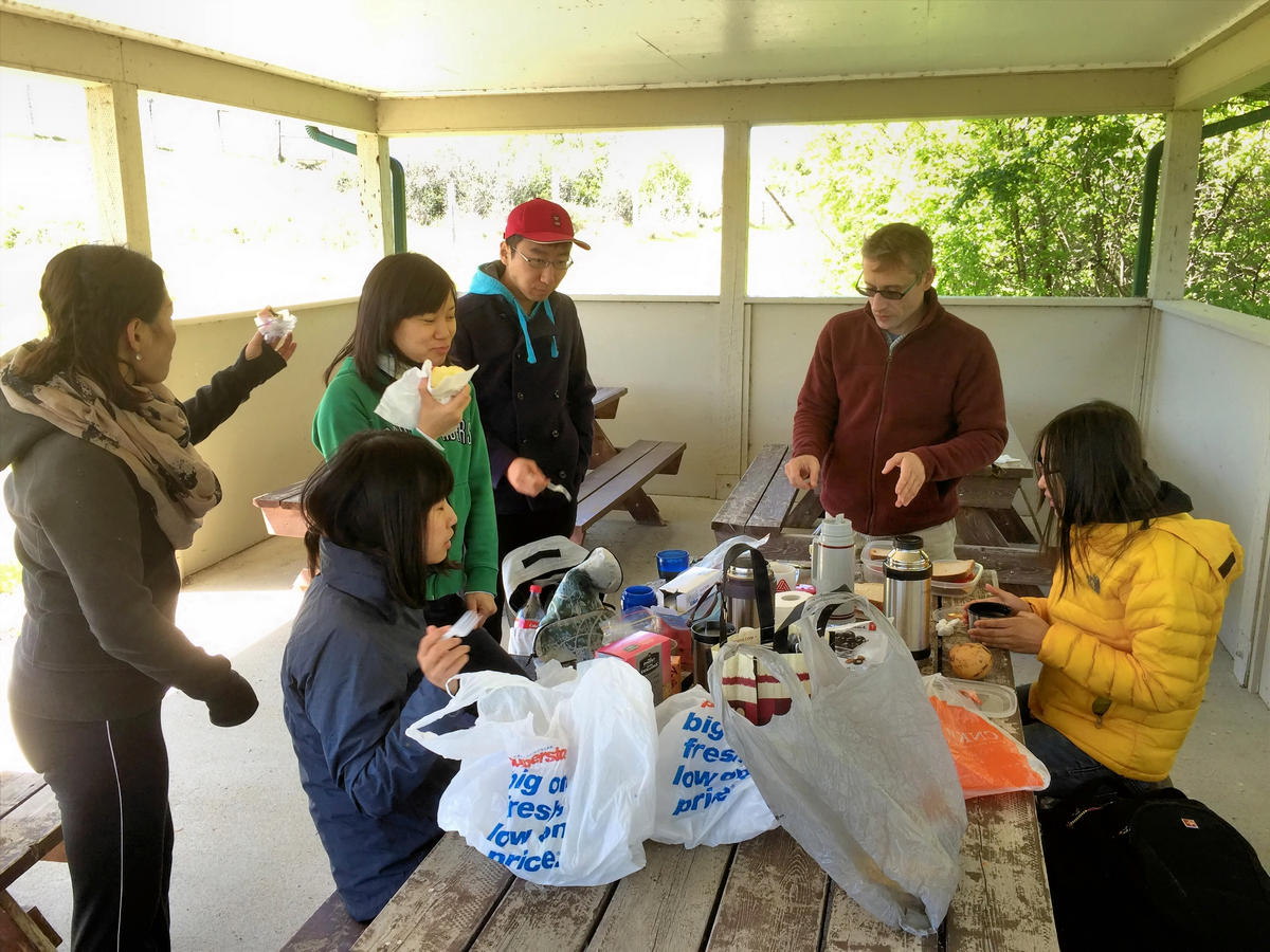 picnic