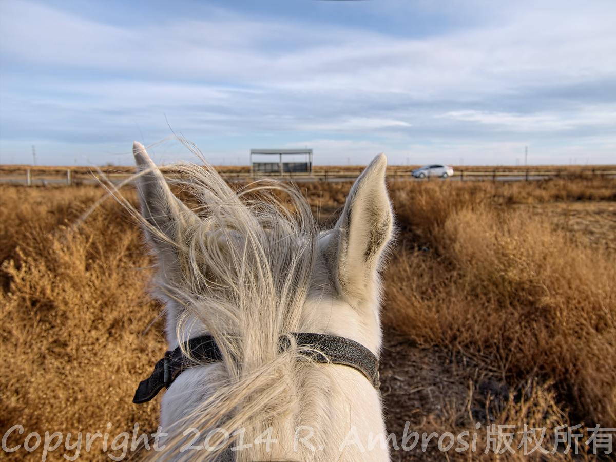 horseback riding Kazakhstan