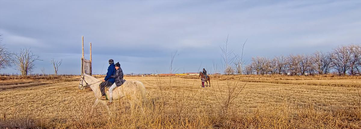 Atyrau Horse stable