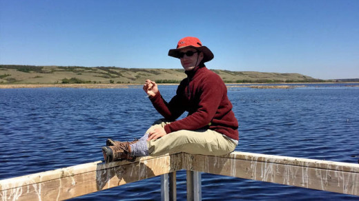 2015-05-18 13.25.51 EDIT 1200px | Ray perches on the corner of the boardwalk. He didn't mind sitting on the bird excrement. 