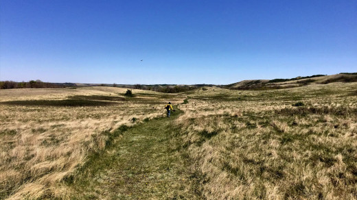 2015-05-18 13.45.39 EDIT 1200px | The main trail to the Nicholle homestead. 