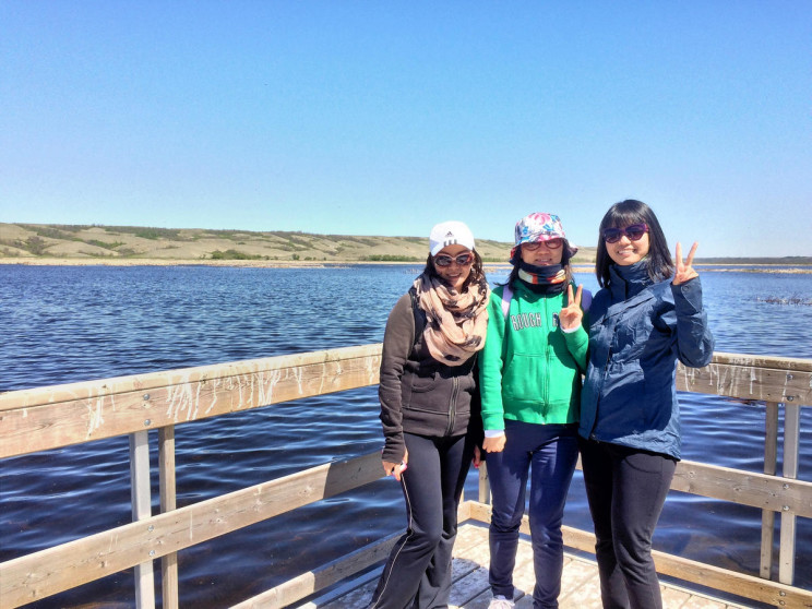 Marsh boardwalk