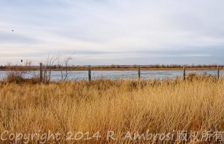 Atyrau countryside